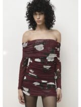 Trilogy Clothing Lana Mesh Mini Dress