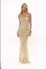Chamomile Print Strapless Mesh Dress – Limited Edition